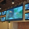Using Video Walls in Retail Environments to Boost Customer Engagement